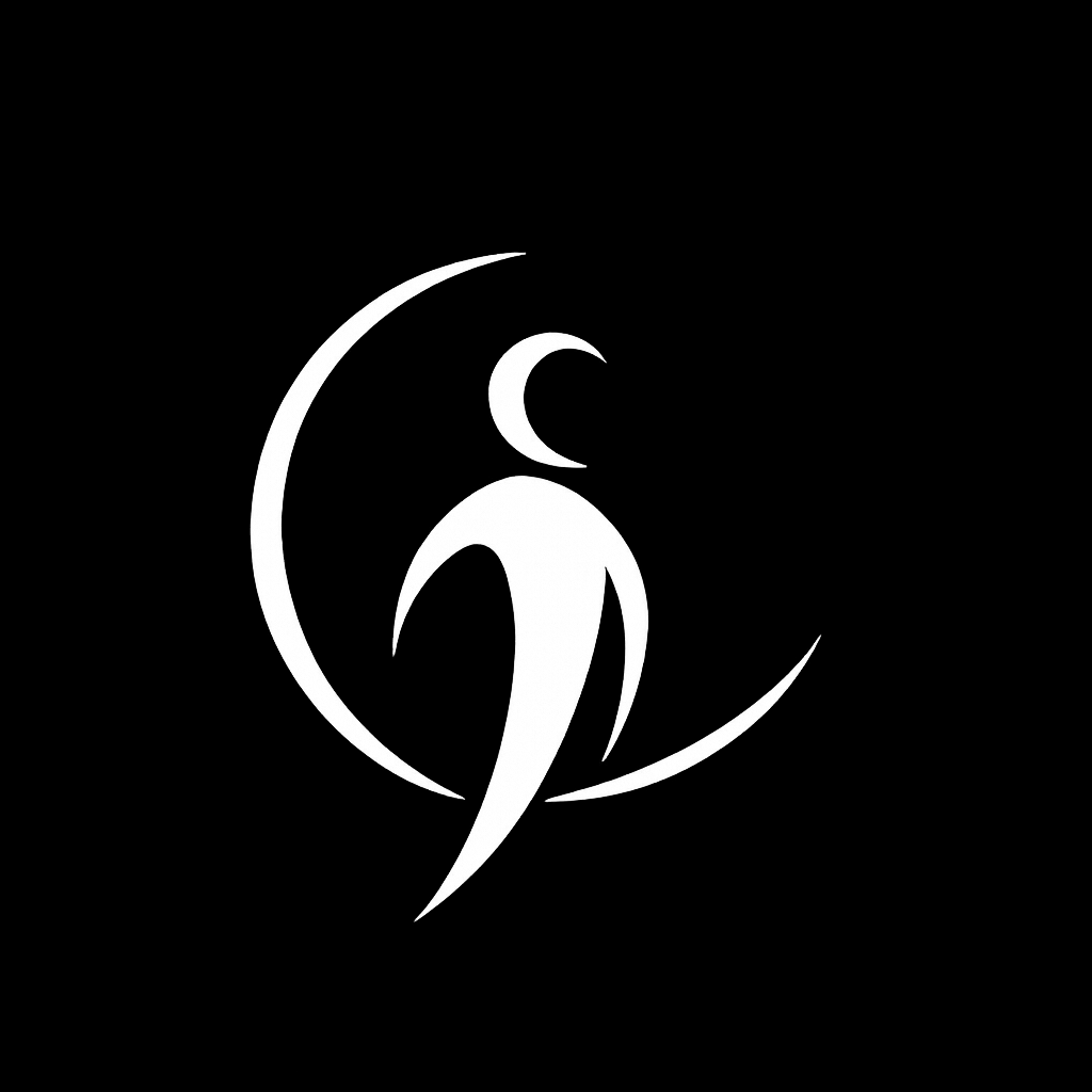 NOCTIS favicon